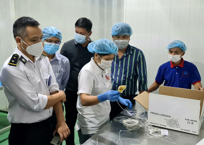 Chuyên gia Nhật Bản đánh giá tốt cơ sở xử lý lạnh ở Công ty Rồng Đỏ